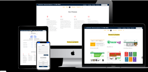 maktomine web solution, software solution