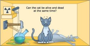 schrodingers-cat-paradox-explaining-quantum-superposition